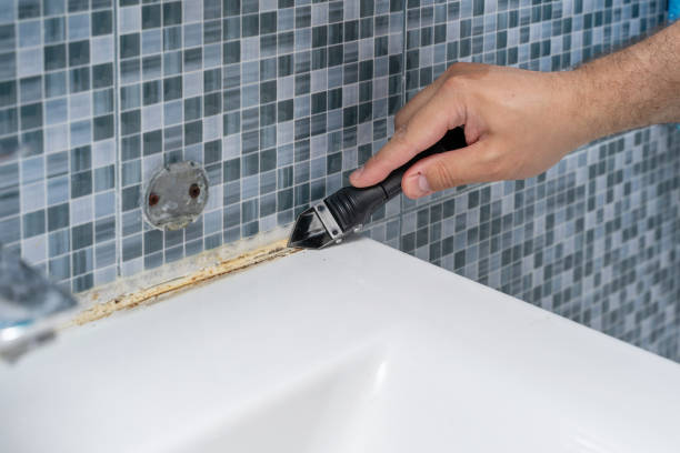 Best Black Mold Remediation in Lake Dunlap, TX