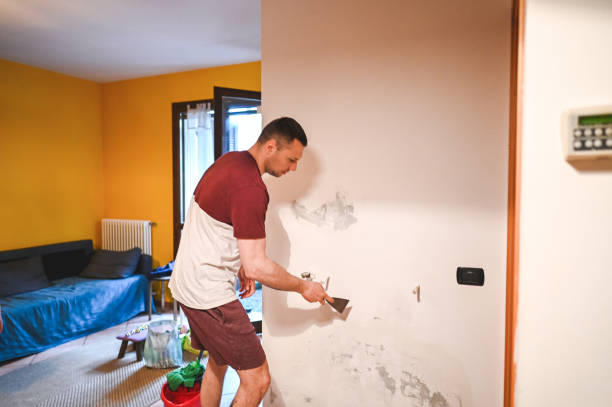 Professional Mold Remediation in Lake Dunlap, TX