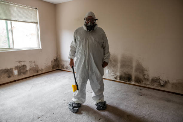 Best Mold Testing and Inspection Services in Lake Dunlap, TX
